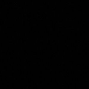 Meet your Posher, Dustin